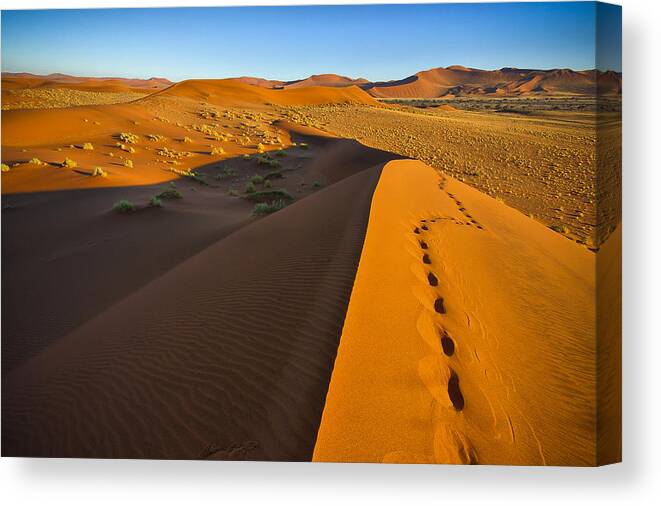 Dune Canvas Print featuring the photograph Down Dune by Andy Bitterer