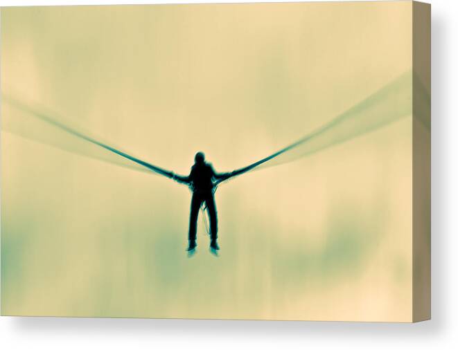 Surreal Canvas Print featuring the photograph Dragonfly by Justin Albrecht