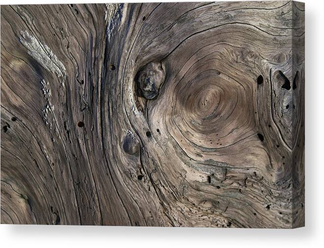 Swirling Canvas Print featuring the photograph Driftwood Swirls 4 by David Kleinsasser