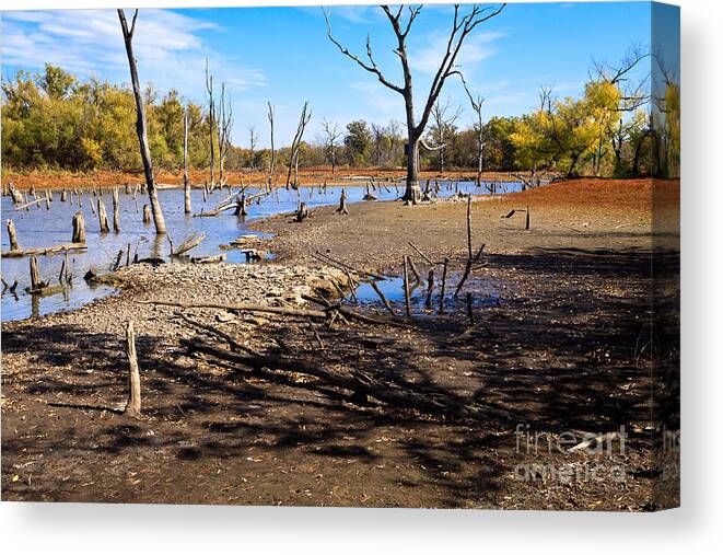 Landscape Canvas Print featuring the photograph Drought in the Flint Hills by Lawrence Burry