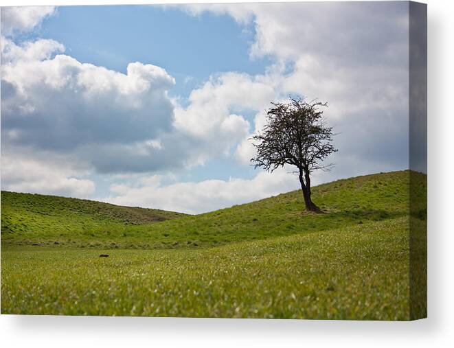 Beauty Canvas Print featuring the photograph Early Spring by Semmick Photo