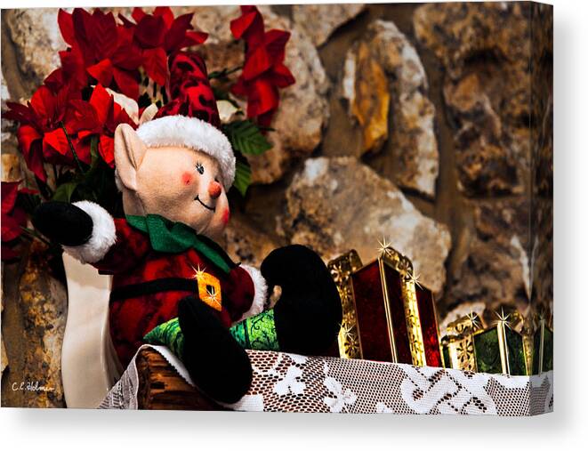 Christmas Canvas Print featuring the photograph Elf On Shelf by Christopher Holmes