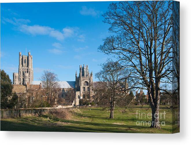 Anglia Canvas Print featuring the photograph Ely Scenic by Andrew Michael