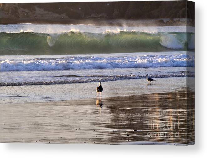 Misty Spray Canvas Print featuring the photograph Emerald Wave by Johanne Peale