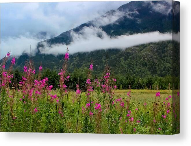 Meadow Canvas Print featuring the photograph Emerging Mist by April Reppucci