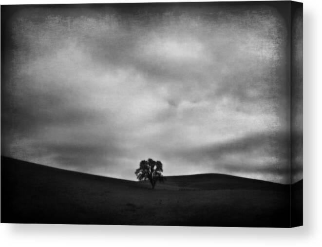 Landscape Canvas Print featuring the photograph Emptiness by Laurie Search