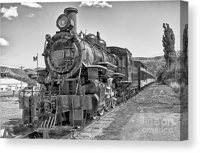 Train Canvas Print featuring the photograph Engine 593 by Eunice Gibb