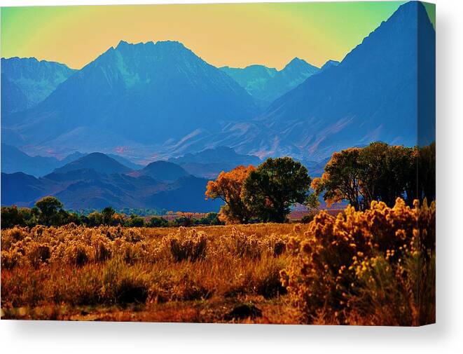 Fall Canvas Print featuring the photograph Fall in the Eastern Sierra 1 by Helen Carson