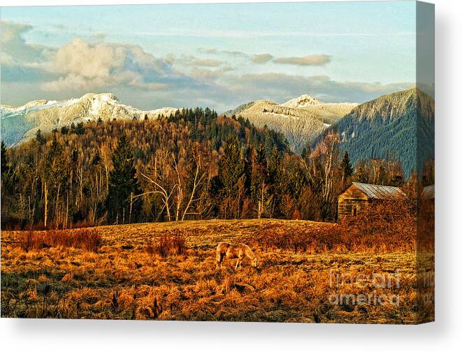 Barns Canvas Print featuring the photograph Fall Landscape-HDR by Randy Harris