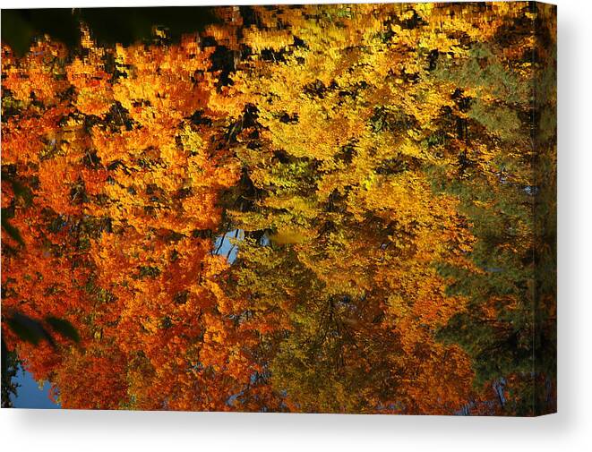 Usa Canvas Print featuring the painting Fall Textures in Water by LeeAnn McLaneGoetz McLaneGoetzStudioLLCcom