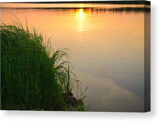 Landscape Canvas Print featuring the photograph Farewell to the June day by Michael Goyberg