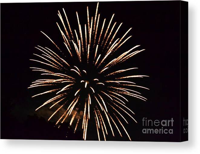 Natural Fireworks Giclee Canvas Storm Picture Wall Art 