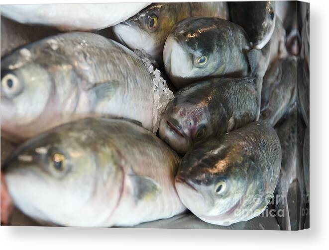 Fish Canvas Print featuring the photograph Fish market and Them. by Yurix Sardinelly