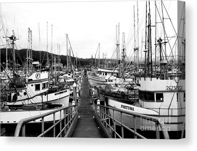 Black And White Canvas Print featuring the photograph Fishing Boats . 7D8202 by Wingsdomain Art and Photography