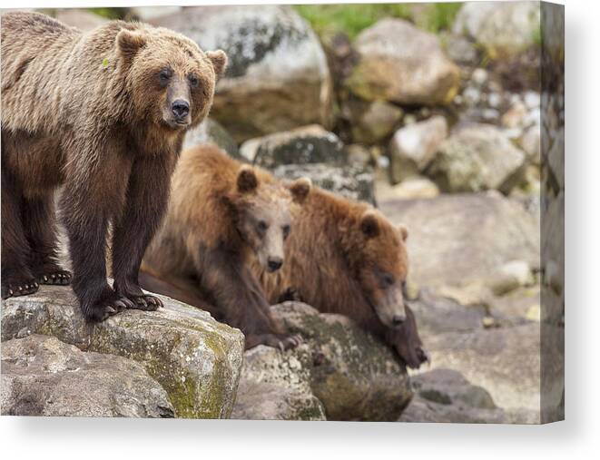 Adult Canvas Print featuring the photograph Fishing is Waiting by Tim Grams