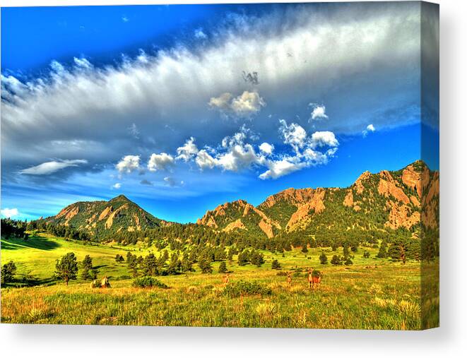 Landscape Canvas Print featuring the photograph Flatirons Wildlife Wonder by Scott Mahon