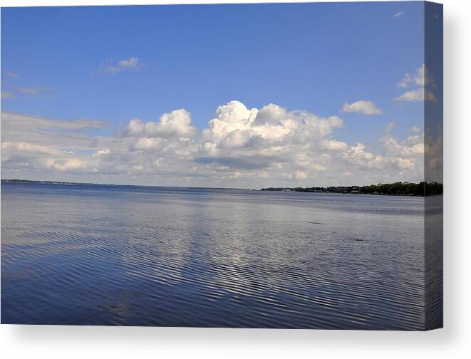 High Quality Canvas Print featuring the photograph Floridian View by Sarah McKoy