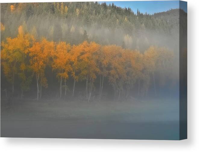 Autumn Color Canvas Print featuring the photograph Foggy Autumn Morning by Albert Seger