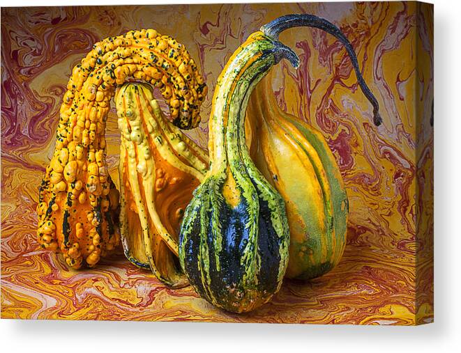 Four Green Canvas Print featuring the photograph Four Gourds by Garry Gay