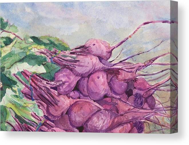 Purple Canvas Print featuring the painting Fresh Beets by Barbara McGeachen