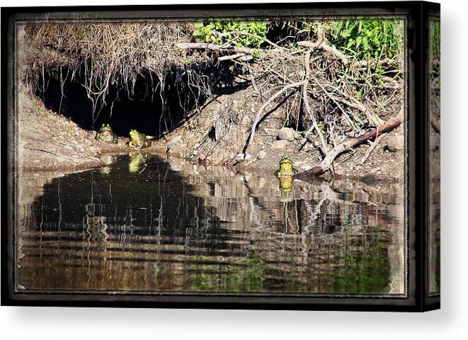 Frog Canvas Print featuring the photograph Frog King's Court by Tiana McVay