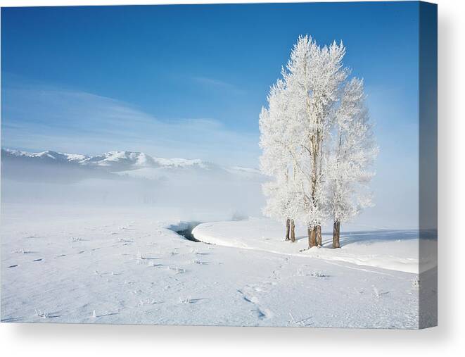 Idaho Canvas Print featuring the photograph Frosty Meadow by D Robert Franz