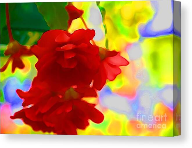 Red Flowers Canvas Print featuring the photograph Garish by Julie Lueders 