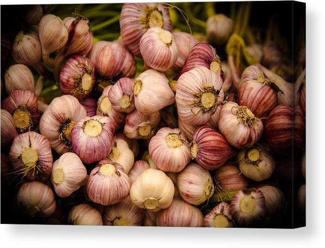 Food Canvas Print featuring the photograph Garlic by Jen Morrison