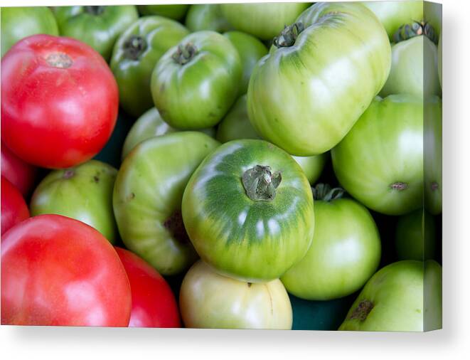 Tomatoes Canvas Print featuring the photograph Green And Red Tomatoes by Dina Calvarese
