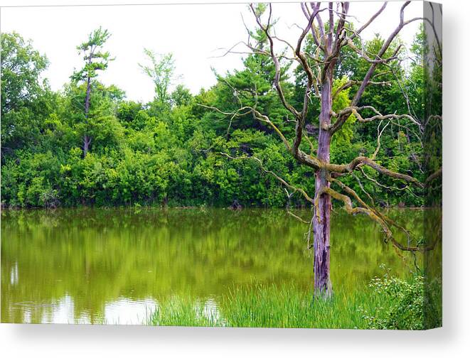 Grim Canvas Print featuring the photograph Grim Tree by Shehan Wicks