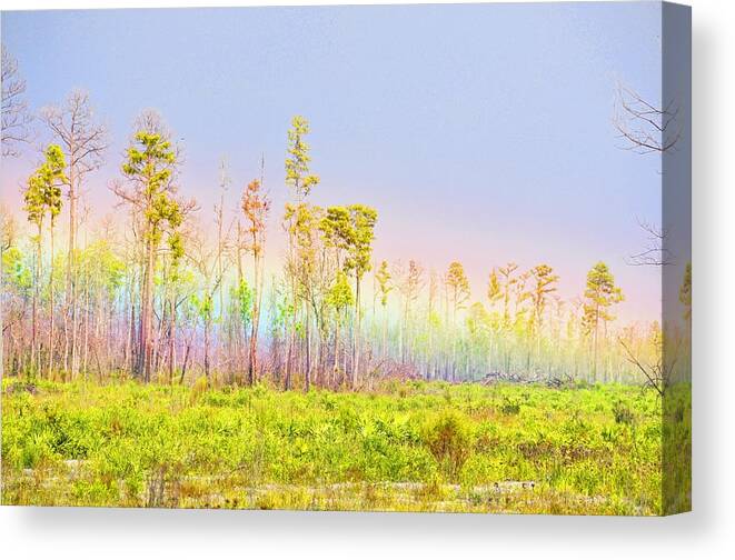 Landscapes Canvas Print featuring the photograph Grounded Rainbow by Jan Amiss Photography