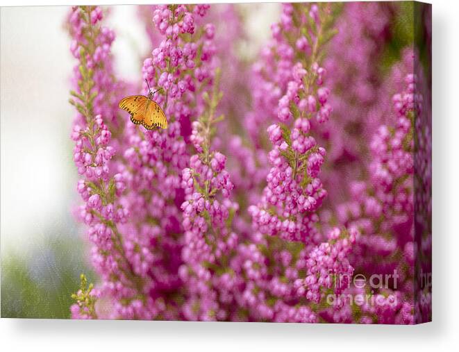 Butterfly Canvas Print featuring the photograph Gulf Fritillary Butterfly on Passionate Pink Flowers by Susan Gary