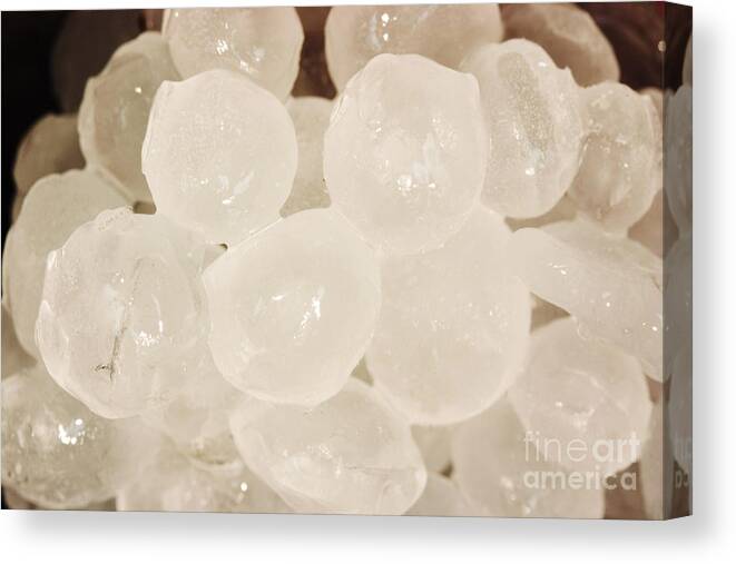 Hail Stones Canvas Print featuring the photograph Hail Stones by Ted Kinsman
