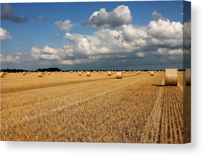 Harvest Canvas Print featuring the photograph Harvest by Ralf Kaiser