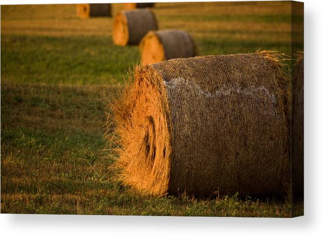 Hay Canvas Print featuring the photograph Hay bales by Mark Duffy