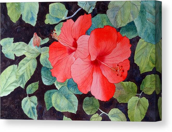 Hibiscus Canvas Print featuring the painting Hibiscus by Laurel Best