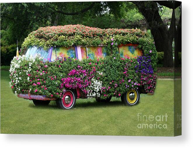 Photography Canvas Print featuring the photograph Hippy by Francisco Pulido