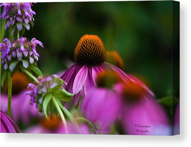 Flowers Canvas Print featuring the photograph Hope by Dorothy Cunningham