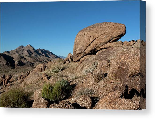 Gold Butte Region Canvas Print featuring the photograph Humping Rock by Lorraine Devon Wilke