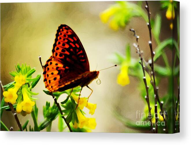 Impressionistic Canvas Print featuring the photograph I See the Light by Vicki Pelham