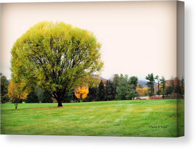 Nature Canvas Print featuring the photograph I Will Be Here Even When My Arms Are Bare by Paulette B Wright