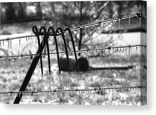 Ice Storm Canvas Print featuring the photograph Ice Storm on the Farm by Wanda Brandon