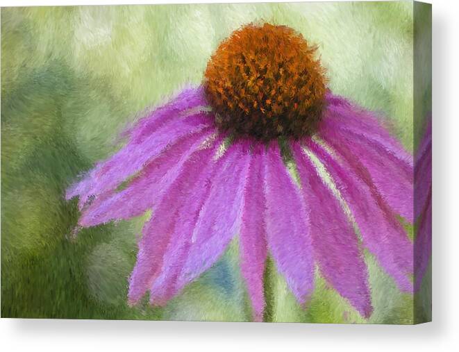 Coneflower Canvas Print featuring the photograph Impressionist Coneflower by Heidi Smith