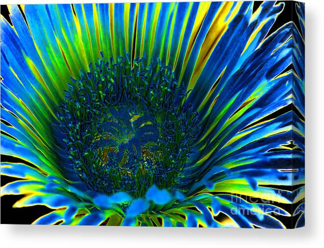 Ive Got The Blues Canvas Print featuring the photograph I've Got the Blues by Mariola Bitner