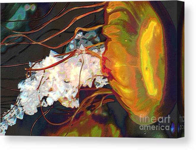 Jellyfish Canvas Print featuring the photograph Jelly by Anjanette Douglas