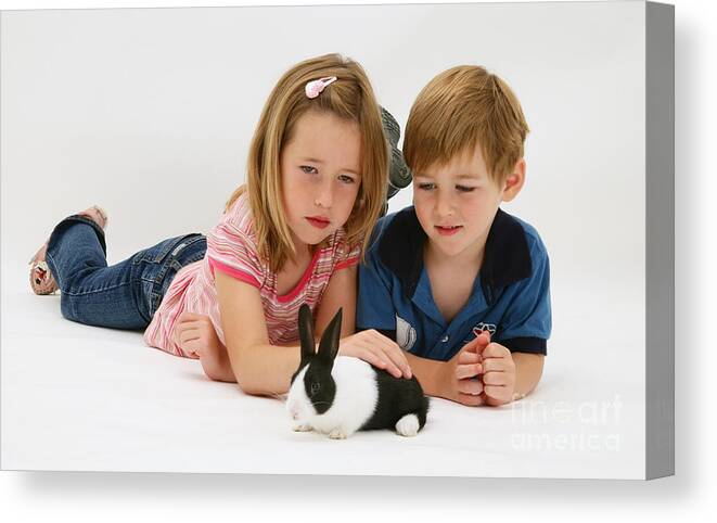 Rabbit Canvas Print featuring the photograph Kids Playing With Rabbit by Jane Burton