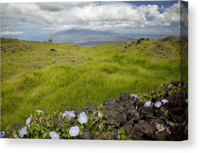 Barrier Canvas Print featuring the photograph Kula country Road II by Jenna Szerlag
