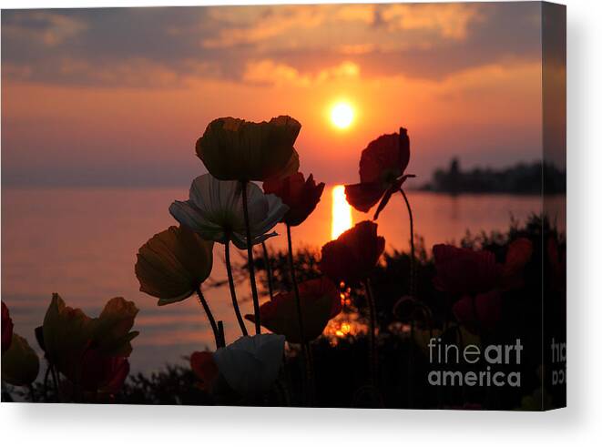 Sunset Canvas Print featuring the photograph Lake Geneva Sunset by Milena Boeva