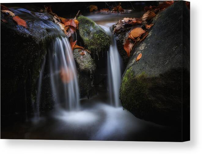Autumn Canvas Print featuring the photograph Leaves along small Stream 1 by Steve Hurt