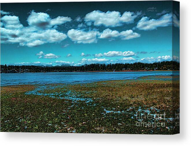 Little Norway Canvas Print featuring the photograph Liberty Bay Seattle WA by RJ Aguilar